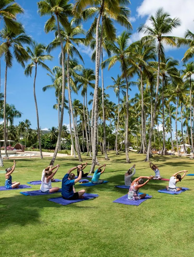 Viva V Samana By Wyndham, A Trademark Adults All Inclusive Las Terrenas Dominican Republic