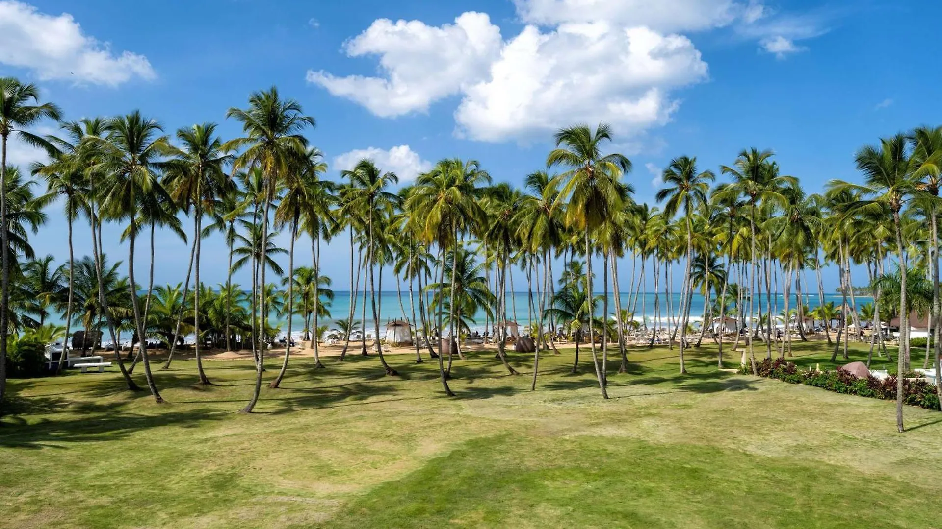 ***** Курортный комплекс Viva V Samana By Wyndham, A Trademark Adults All Inclusive Лас Терренас Доминиканская Республика